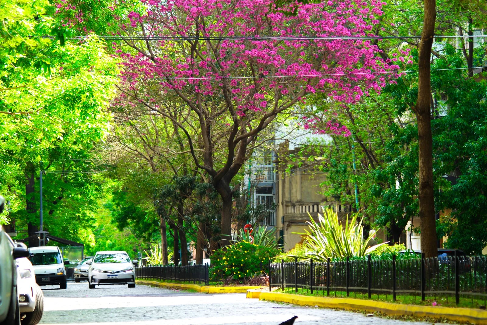Foto de ANDO Andonaegui (4)